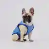 Ice Vest Pechera Fria Para Perro M