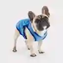 Ice Vest Pechera Fria Para Perro M