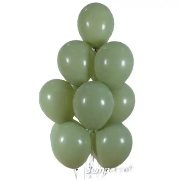 Bouquet Eucalipto (12 Globos Inflados Con Helio)