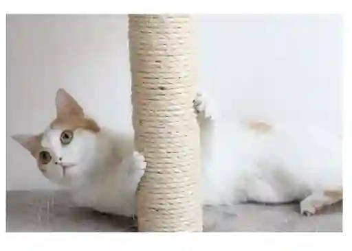 Rollo Cabuya Cuerda Soga Yute Fique Ecologica Rascador Gato