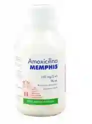 Amoxicilina 250 Mg/5 Ml Suspension 90 Ml