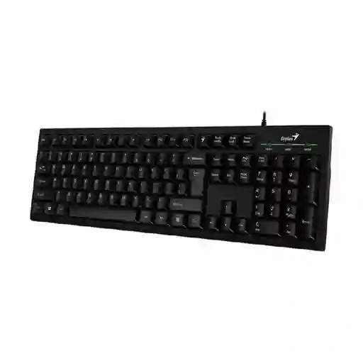 Teclado Genius Kb 100 Usb Negro