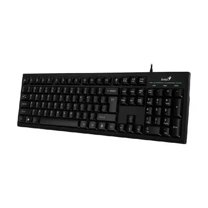 Teclado Genius Kb 100 Usb Negro