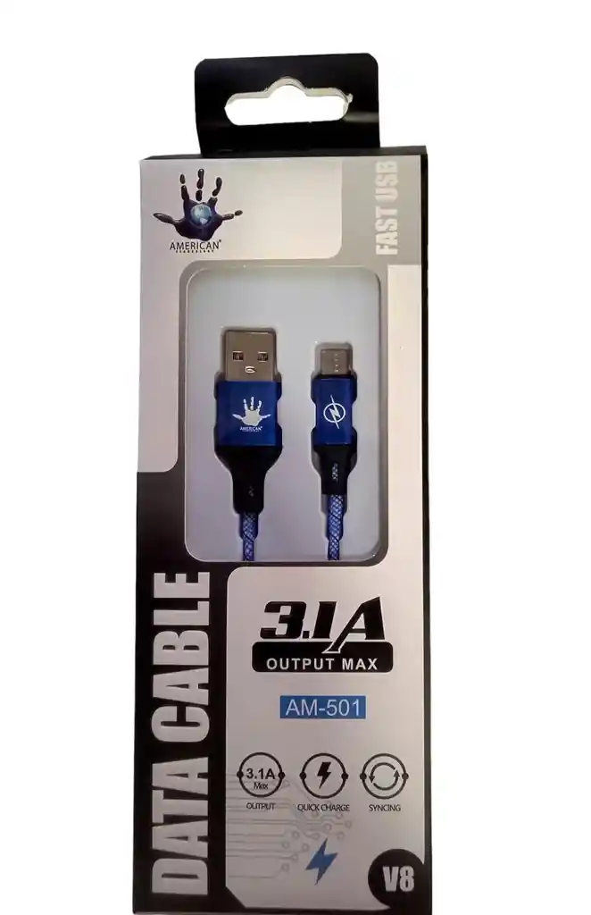 Cable De Datos American De 3.1a Fast Usb