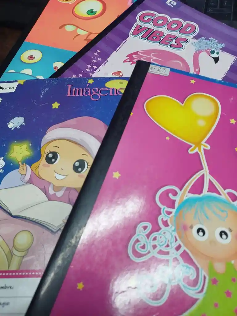 Cuaderno 95 Cuadros De 100 Preescolar. Femenino, Precio Promocion