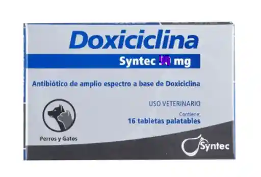 Doxiciclina 100mg Syntec X16 Tabletas	