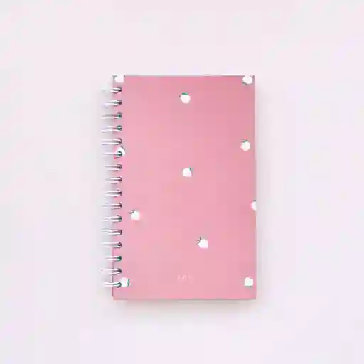 Little Notebook Peaches Rayado