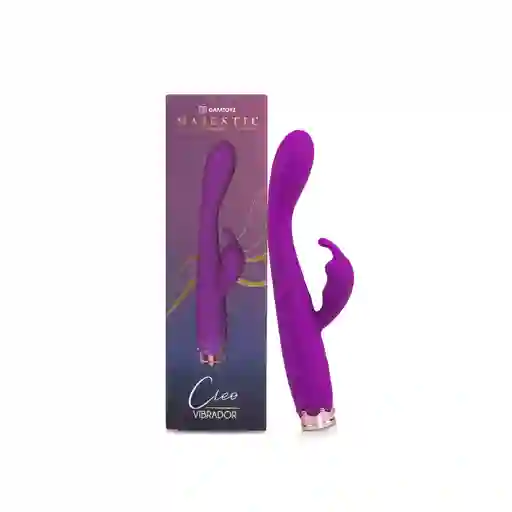 Vibrador Doble Estimulacion Punto G Estimulacion Clitoris De Lujo Cleo Recargable