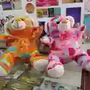 Peluche Oso Colorido
