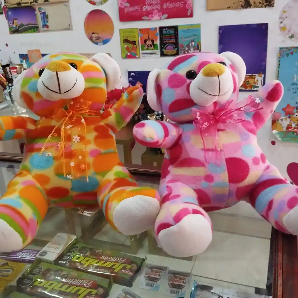 Peluche Oso Colorido