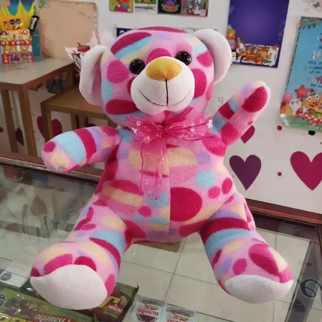 Peluche Oso Colorido