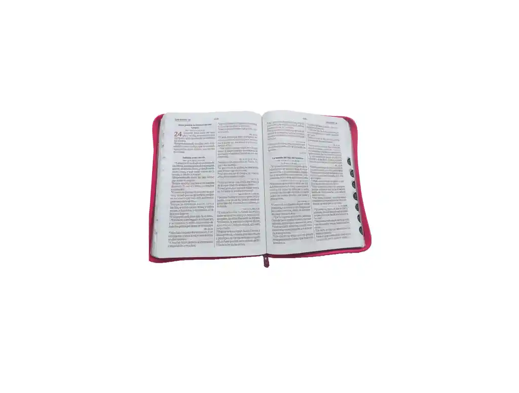 Biblia Rvr60 Letra Gigante – Fucsia Rosa