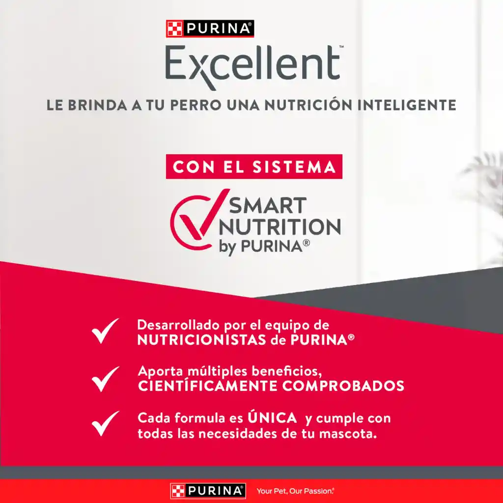Comida para perros EXCELLENT ADULT Mantenimiento x 22,7 kg