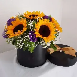 Caja Girasoles Nice