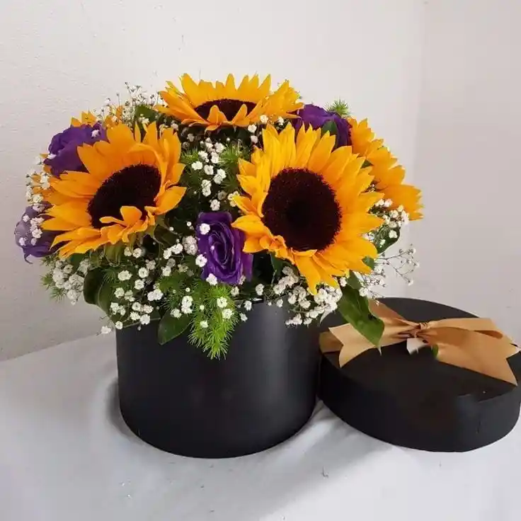 Caja Girasoles Nice