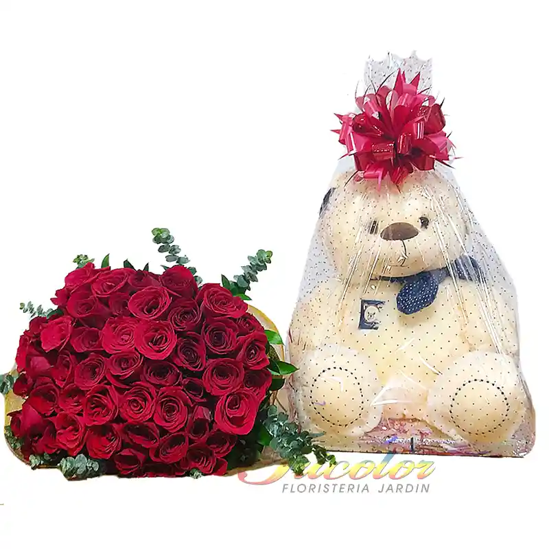 Rosas-50 Y Peluche G