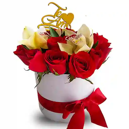 Enamorado