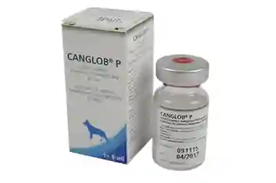 Canglob P X 6 Ml