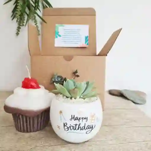 Regalo Feliz Cumpleaños🥳+vela Cupcake