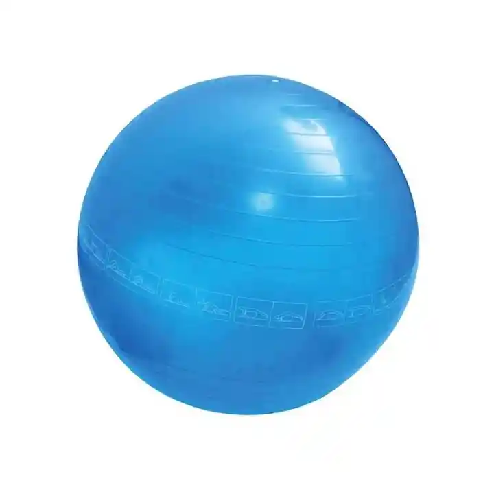 Gym Ball 55cm