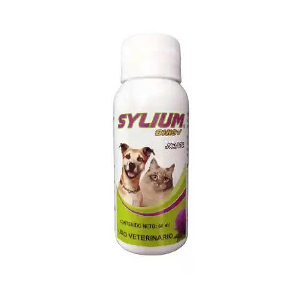 Sylium Jarabe Fco X 60 Ml