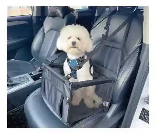 Asiento Portátil Auto Seguridad Para Mascotas Perros Y Gatos