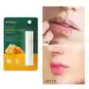 Bálsamo Labial Vit. E Honey Bioaqua