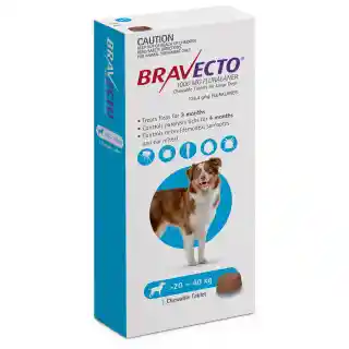 Bravecto Antipulgas Para Perros 20 A 40 Kg