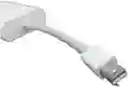 Adaptador Mini Dvi A Monitor Pantalla Vga (usado)