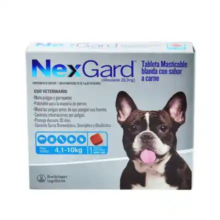 Nexgard 4 A 10 Kg Nexgard Para Mascotas Antipulgas Y Antigarrapatas