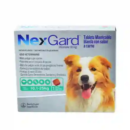 Nexgard 10 A 25 Kg Nexgard Para Mascotas Antipulgas Y Antigarrapatas