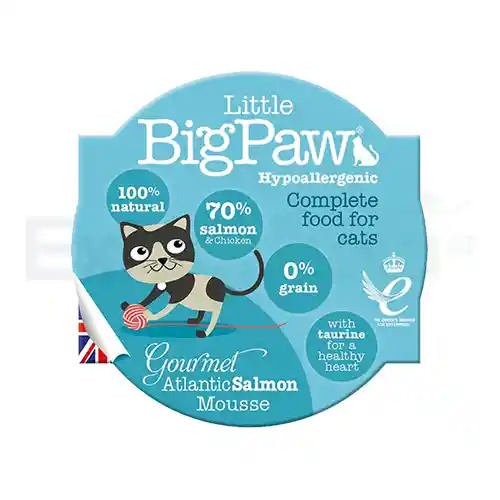 Little Big Paw Salmon 85g