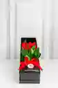 Caja San Valentin