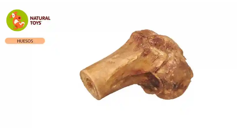 Mini-femur Cerdo, Hueso Deshidratado