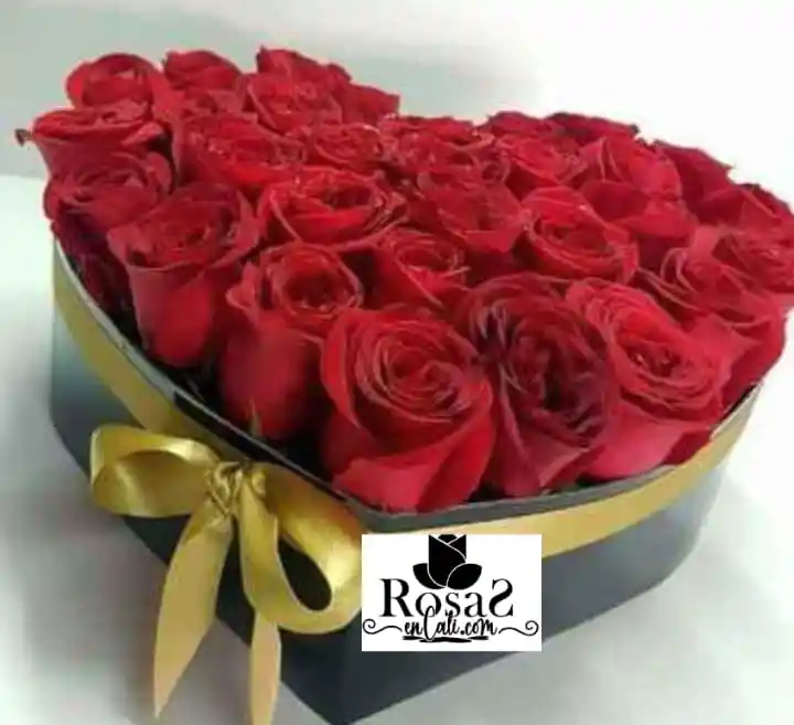 Arte Floral En Rosas