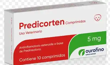 Predicorten De 5mg X 10 Comprimidos