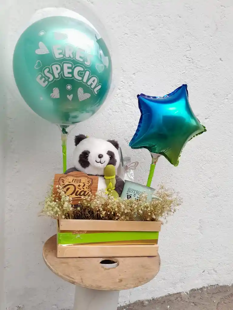 Ancheta Con Peluche De Oso Panda En Caja De Madera