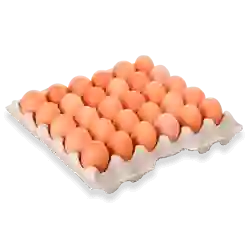 Huevos Criollos X 30