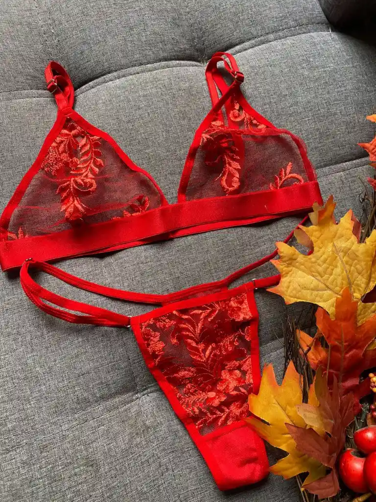 Conjunto 2 Piezas Bordado De Ropa Interior Panty Y Top Lenceria