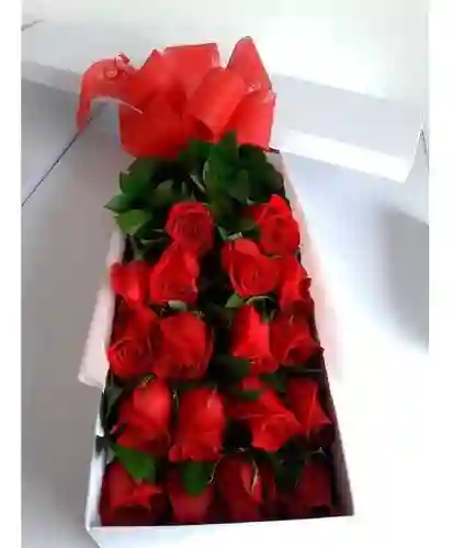 Caja De 20 Rosas Rojas