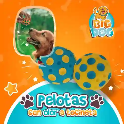 Big Dog Juguete Pelota Con Aroma A Tocineta Para Perro