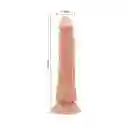 Consolador 21cm Barbara Fuerte Chupa Ventosa Silicona Exoesqueleto
