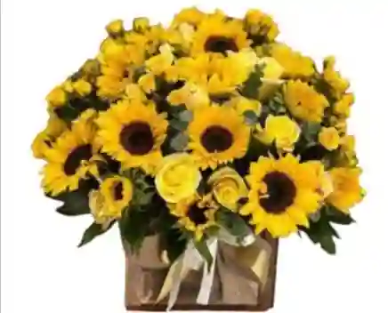 Caja Girasol