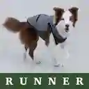 Runner Green Xs