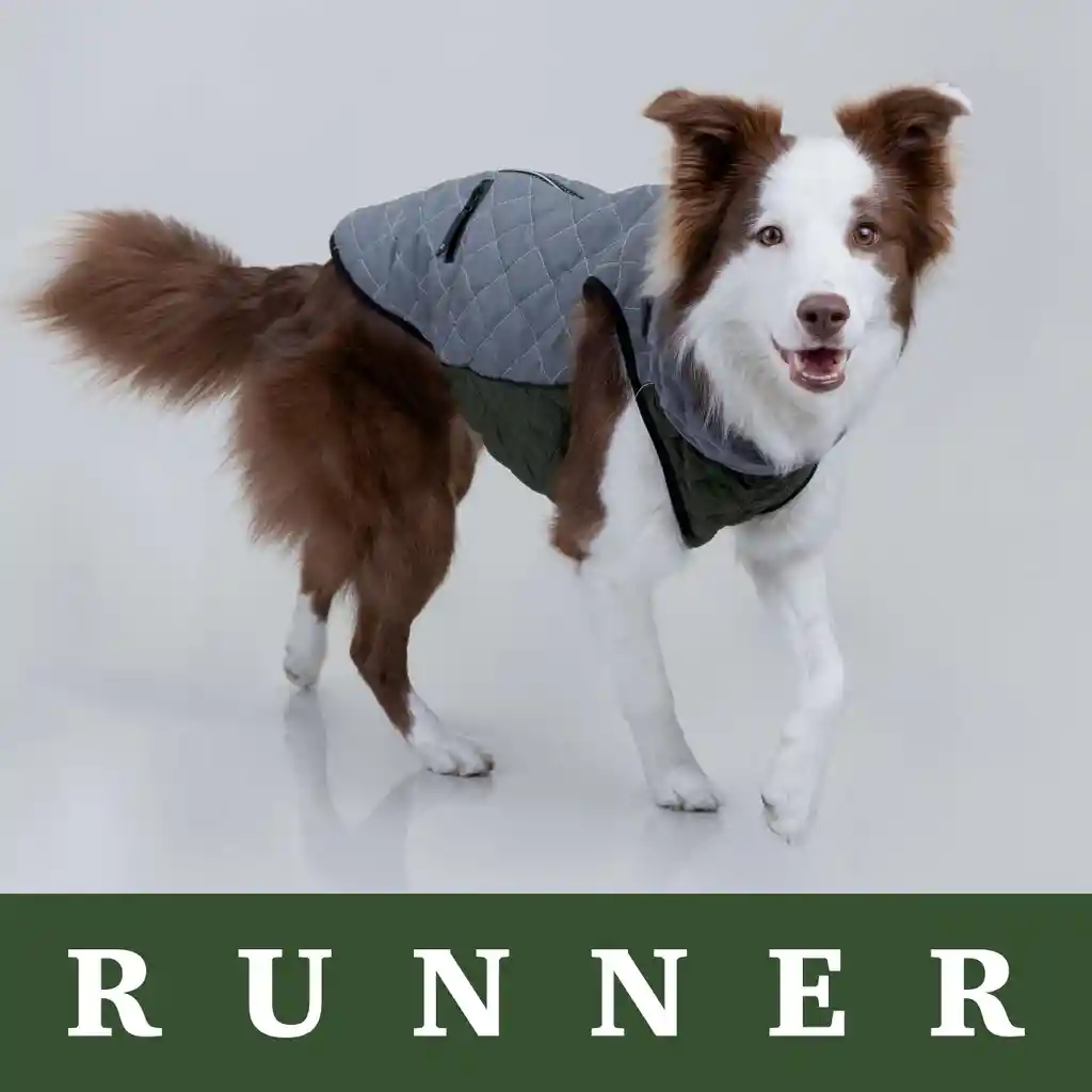 Runner Green Xs