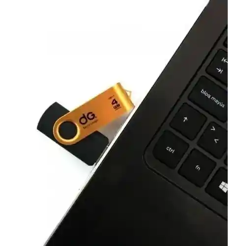 Usb 4gb. Dg Technology Velocidad 2.0 / Varedad En Colores