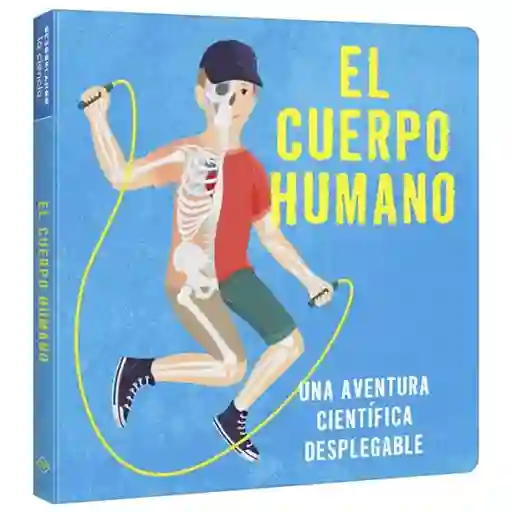 El Cuerpo Humano