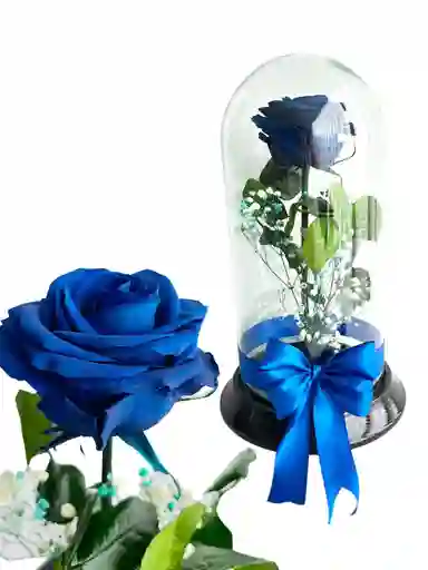 Flor Rosa Inmortalizada Azul Rey - Flor Regalo - Rosa Regalo - Rosa Inmortalizada Con Cupula En Vidrio