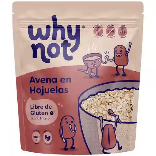 Why Not Avena En Hojuelas Libre De Gluten 1000g