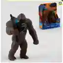 Godzilla Vs King Kong